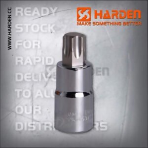 Harden 1/2" Dr 12.5mm Socket with Intrenal Torx-bit
