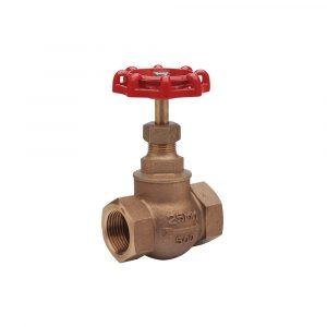 Bronze Globe Valve