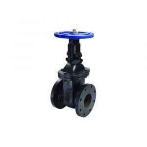Cast Iron Gate Valve
