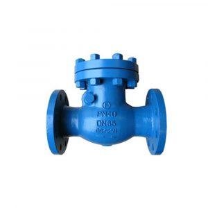 Check Valve