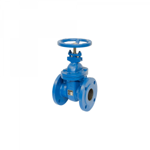 Gate Valve